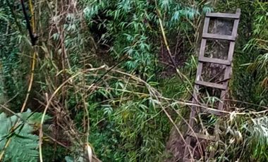 Parcela 2 hectáreas, con 3 cabañas  Ruta 5, Los Lagos $180.000.000