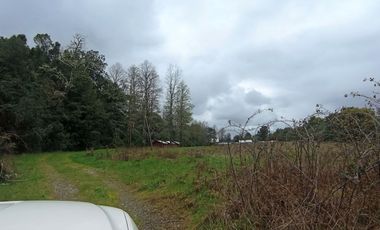 Parcela 2 hectáreas, con 3 cabañas  Ruta 5, Los Lagos $180.000.000