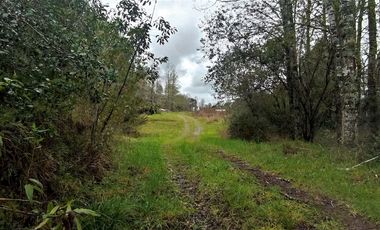 Parcela 2 hectáreas, con 3 cabañas  Ruta 5, Los Lagos $180.000.000