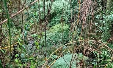 Parcela 2 hectáreas, con 3 cabañas  Ruta 5, Los Lagos $180.000.000