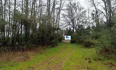 Parcela 2 hectáreas, con 3 cabañas  Ruta 5, Los Lagos $180.000.000