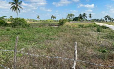 1800sqm Lot for sale 35m frontage to East West Road, Amadeo. P12k/sqm
