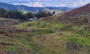 Te vendo esta inmensa finca de 62 hectáreas bien barata en los límites entre Concepción y Barbosa Antioquia Colombia.