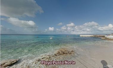 Condominio con jardin, alberca, cancha de pádel, Zona Hotelera Norte, Cozumel.