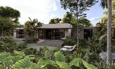 Condominio con jardin, alberca, cancha de pádel, Zona Hotelera Norte, Cozumel.