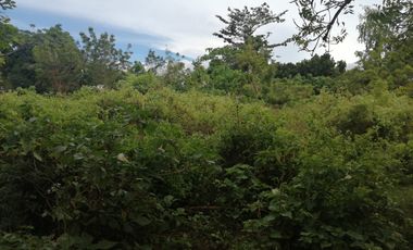 Property in the jungle next to Paliton Beach