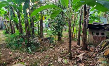 Dijual Rumah Model Kolonial Belanda Tidak Tembus Peluru Ada Warung Tanah Luas Kuningan Jawa Barat