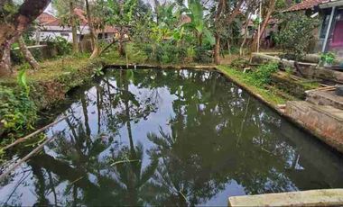 Dijual Rumah Model Kolonial Belanda Tidak Tembus Peluru Ada Warung Tanah Luas Kuningan Jawa Barat