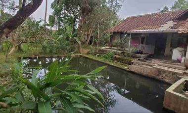 Dijual Rumah Model Kolonial Belanda Tidak Tembus Peluru Ada Warung Tanah Luas Kuningan Jawa Barat