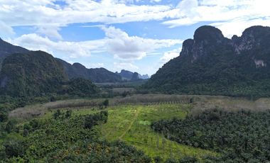 32 Rai of small rubber plantation with an incredible mountain view for sale in Khaothong, Krabi