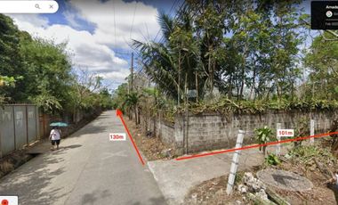 Residential Lot for sale in Amadeo, Silang, Cavite