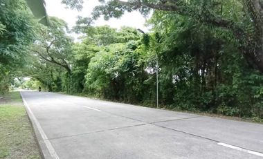 22.7 Hectares Vacant Lot For Sale in Naic, Cavite