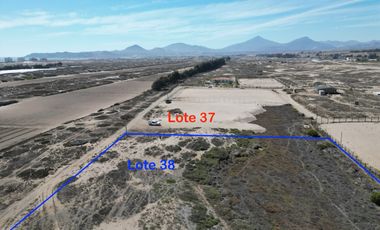 VENTA de lotes 5000 mts2 Vegas Norte parcela 117 Lotes 37 y 38