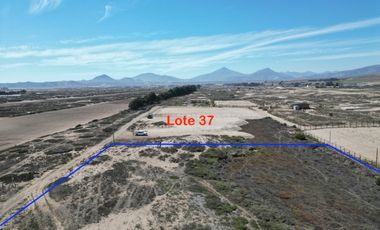 VENTA de lotes 5000 mts2 Vegas Norte parcela 117 Lotes 37 y 38