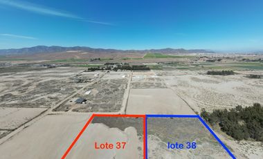 VENTA de lotes 5000 mts2 Vegas Norte parcela 117 Lotes 37 y 38