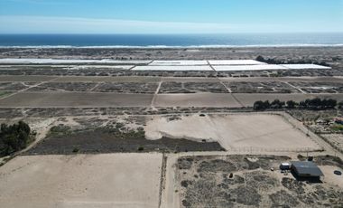 VENTA de lotes 5000 mts2 Vegas Norte parcela 117 Lotes 37 y 38