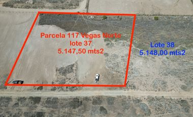 VENTA de lotes 5000 mts2 Vegas Norte parcela 117 Lotes 37 y 38