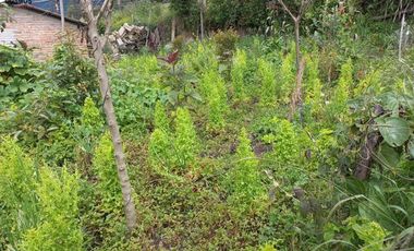 Venta de casas en Otavalo sector Imbabuela