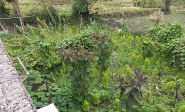 Venta de casas en Otavalo sector Imbabuela
