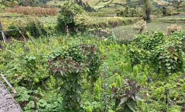 Venta de casas en Otavalo sector Imbabuela