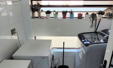 ISABEL LA CATÓLICA / VESPUCIO