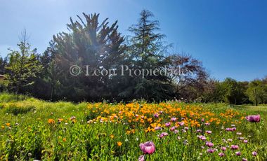 León Propiedades vende Parcela con casa en Camino El Toro, Curacaví