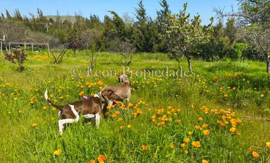 León Propiedades vende Parcela con casa en Camino El Toro, Curacaví