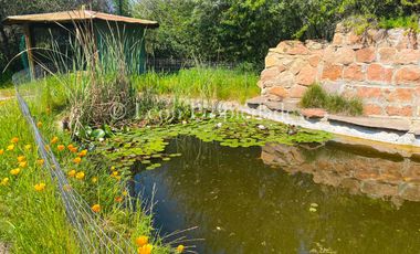 León Propiedades vende Parcela con casa en Camino El Toro, Curacaví