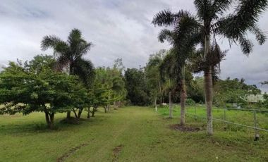 FOR SALE! 7 hectares Hacienda at Lipa City, Batangas
