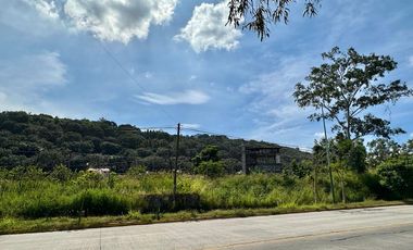 Terreno industrial en renta, Prol. Mariano Otero, 2,780 m2 El Fortín