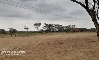 Terrenos de alquiler en la Aurora