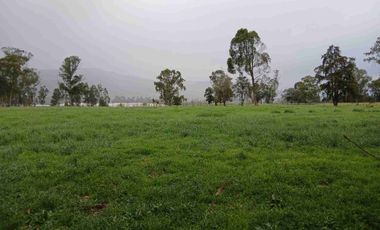 VENDO FINCA SESQUILE 80 FANEGADAS