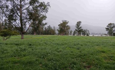 VENDO FINCA SESQUILE 80 FANEGADAS