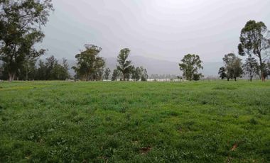 VENDO FINCA SESQUILE 80 FANEGADAS