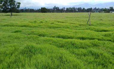 VENDO FINCA SESQUILE 80 FANEGADAS