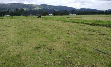 VENDO FINCA SESQUILE 80 FANEGADAS