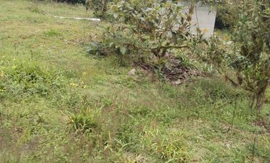 VENDO TERRENO SECTOR MINDO, AMPLIO IDEAL PARA SUS DIAS EN FAMILIA FUERA DE LA GRAN CIUDAD