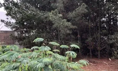 Se Vende Sitio Ubicado En Con-cón