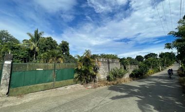 FOR SALE Farm Lot in Silang Cavite