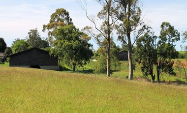 Parcelas La Cruzada Nueva Braunau