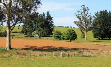 Parcelas La Cruzada Nueva Braunau