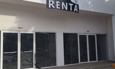 Locales comerciales en renta en Blvd.Torres Landa y Av.Juarez.