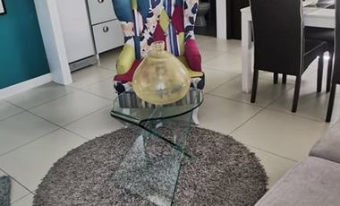 Rent to own house and lot in cabanatuan