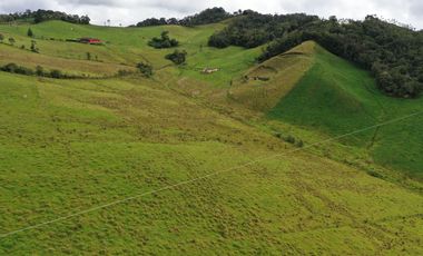 FINCA  PLANA DE 25 CUADRAS EN EL MUNICIPIO DE LA UNION