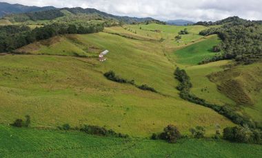 FINCA  PLANA DE 25 CUADRAS EN EL MUNICIPIO DE LA UNION