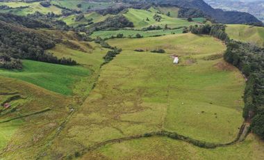 FINCA  PLANA DE 25 CUADRAS EN EL MUNICIPIO DE LA UNION