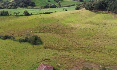 FINCA  PLANA DE 25 CUADRAS EN EL MUNICIPIO DE LA UNION