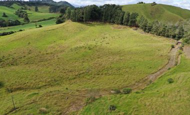 FINCA  PLANA DE 25 CUADRAS EN EL MUNICIPIO DE LA UNION
