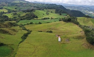 FINCA  PLANA DE 25 CUADRAS EN EL MUNICIPIO DE LA UNION