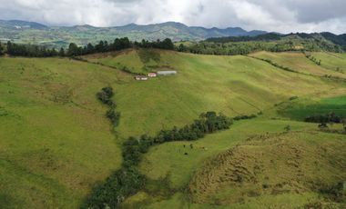 FINCA  PLANA DE 25 CUADRAS EN EL MUNICIPIO DE LA UNION